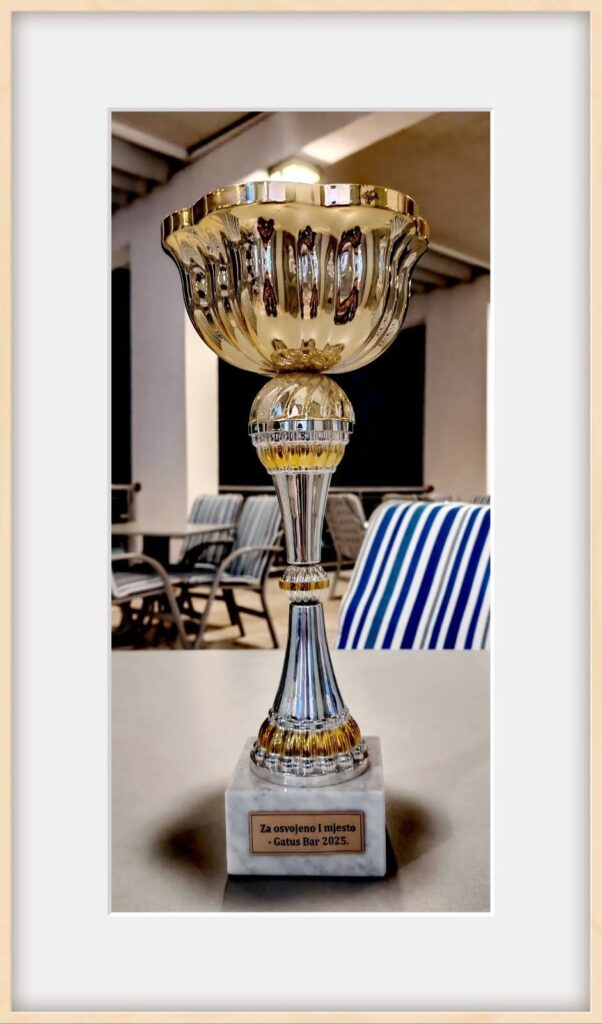 558978767 1295082102408803 2068332134805474312 n