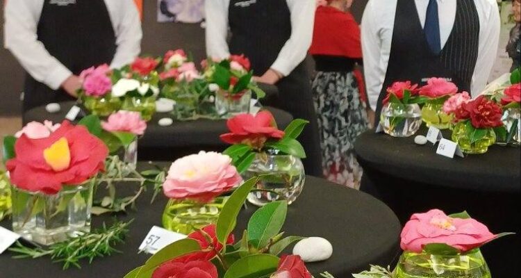 18. Festival kamelija